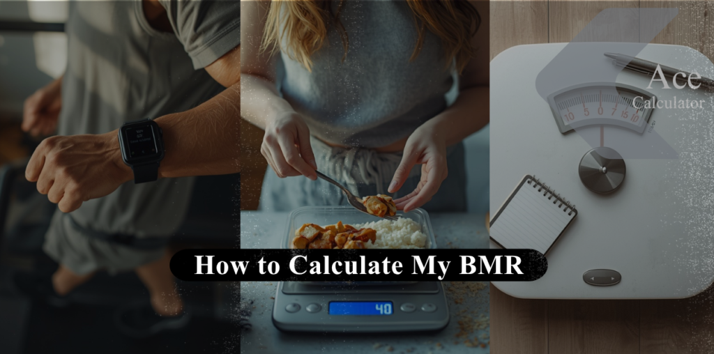 How to Calculate My BMR