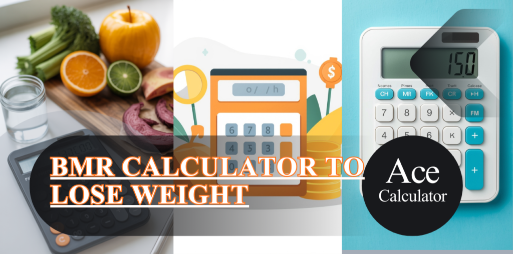 BMR Calculator for Weight Loss