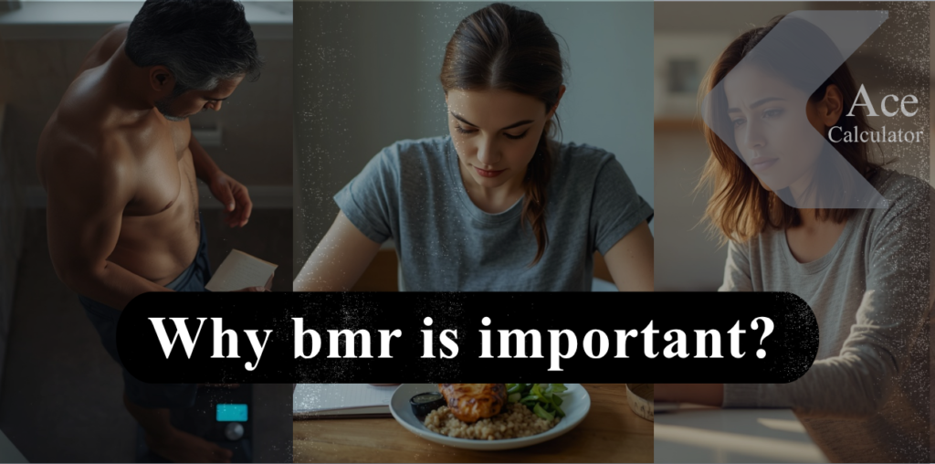 Why BMR Is Important: The Number Behind Your Calorie Math