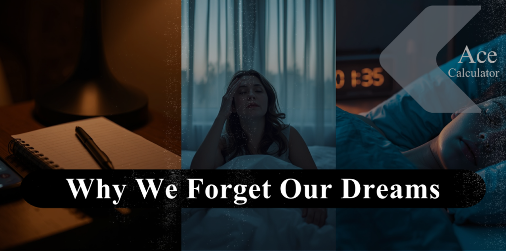 Why We Forget Our Dreams (And What’s Really Happening in Your Brain)