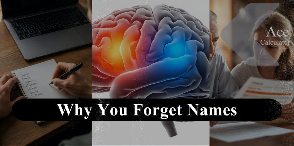 Why You Forget Names — The Real Neuroscience (And When to Actually Worry)